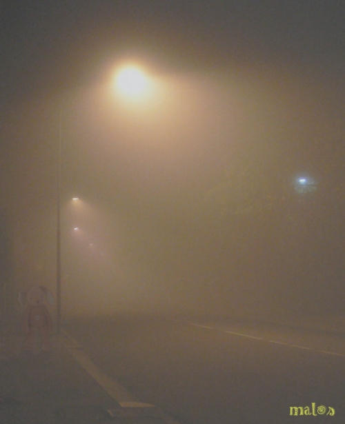 incontri nella nebbia2